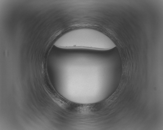 X0000052580120200507010923