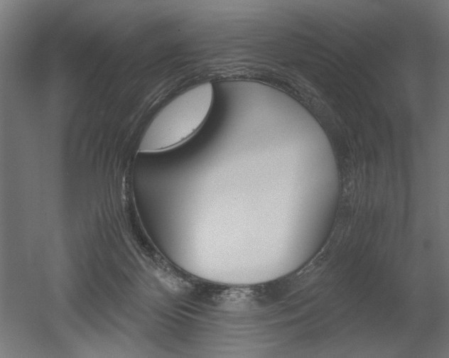 X0000052580124200507010923