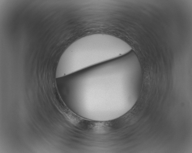 X0000052580130200507010923