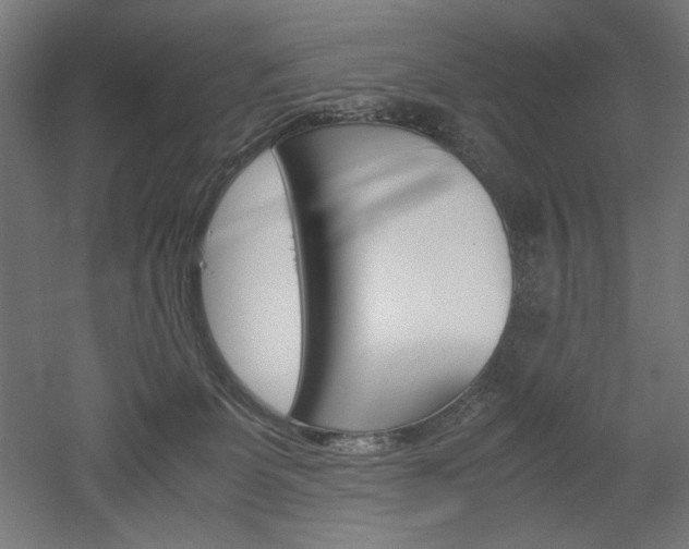 X0000052580131200507010923
