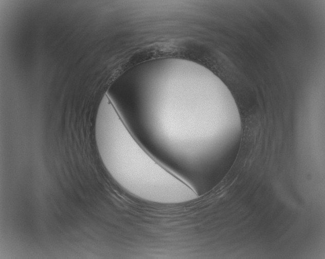 X0000052580135200507010923