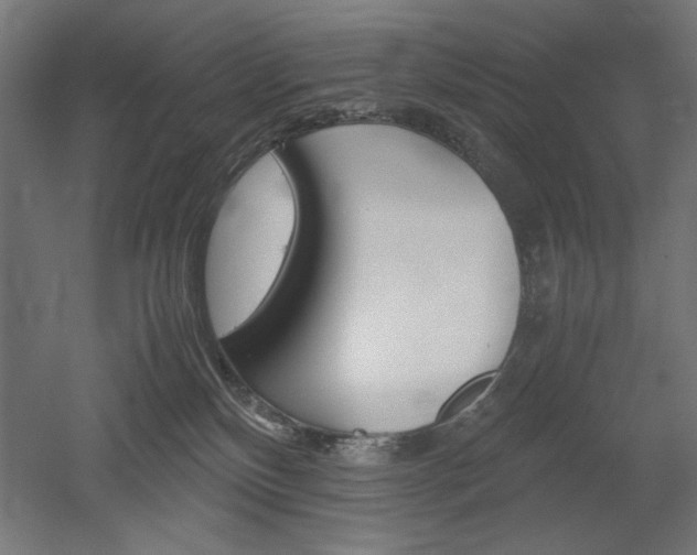 X0000052580136200507010923