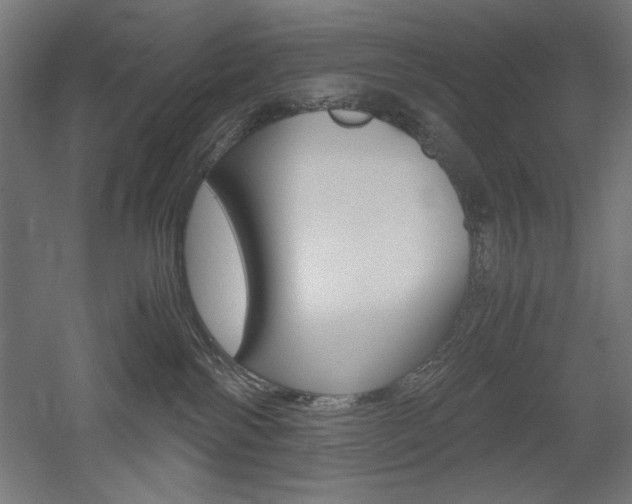 X0000052580138200507010923