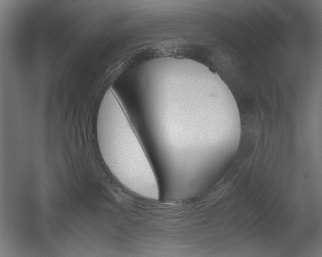 X0000052580139200507010923
