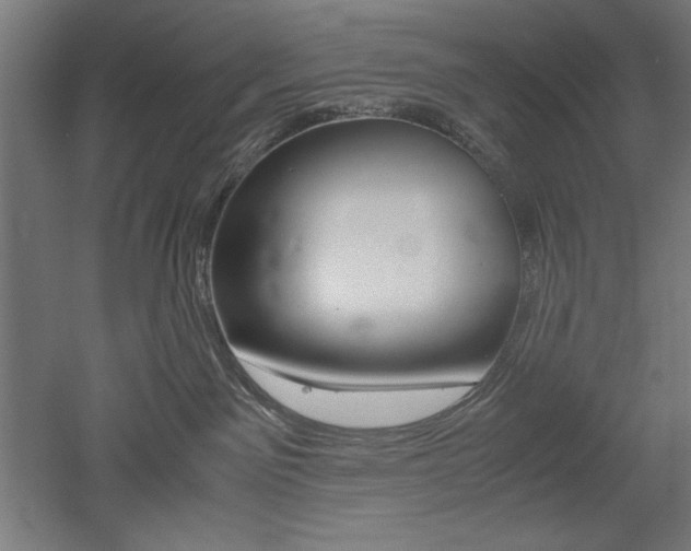 X0000052580141200507010923