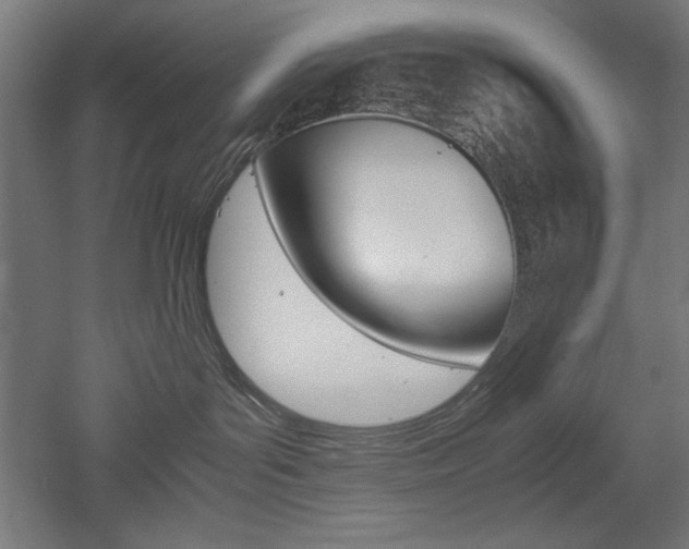 X0000052580143200507010923