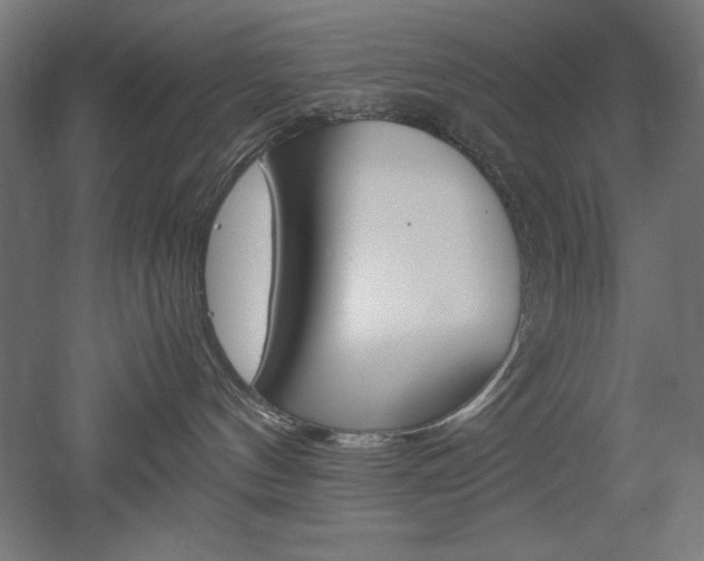 X0000052580144200507010923
