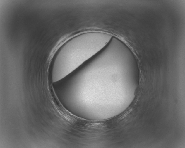 X0000052580151200507010922