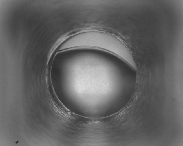 X0000052580152200507010922