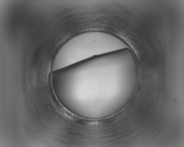 X0000052580153200507010922
