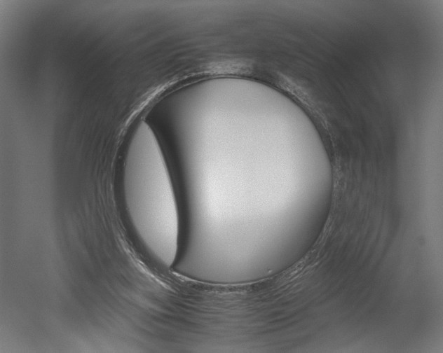 X0000052580155200507010922