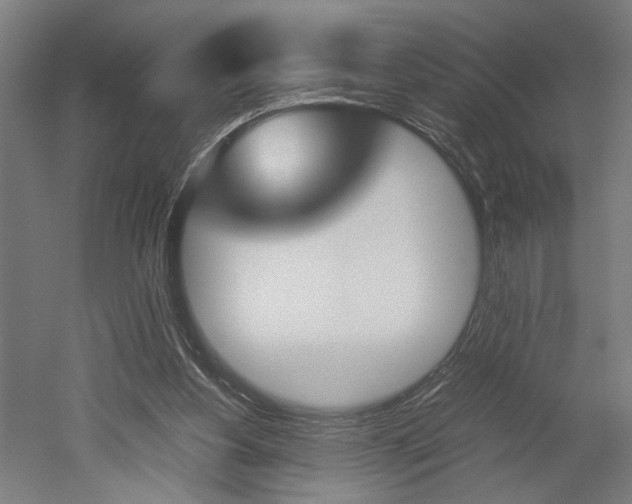 X0000052580156200507010922