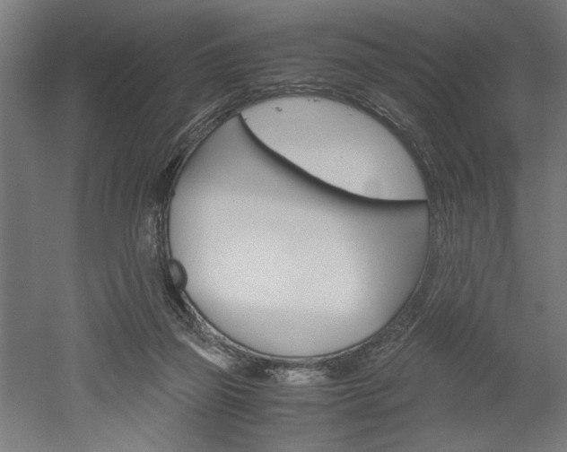 X0000052580165200507010923
