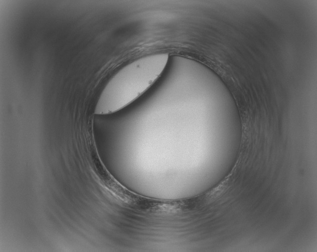 X0000052580166200507010923