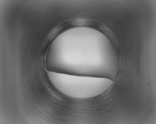 X0000052580167200507010923