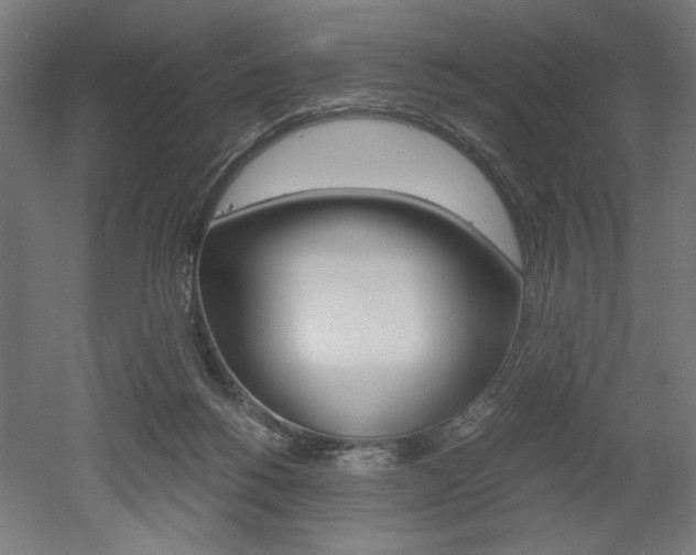 X0000052580168200507010923