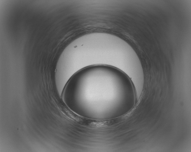 X0000052580170200507010923