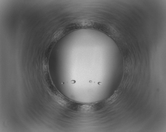X0000052580176200507010923
