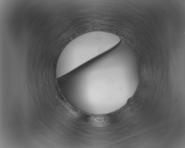 X0000052580181200507010923