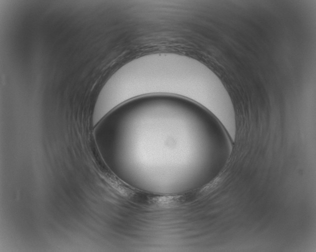 X0000052580184200507010923