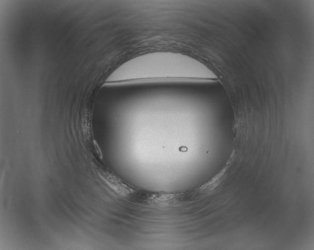 X0000052580186200507010923