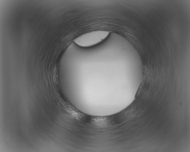 X0000052580189200507010923