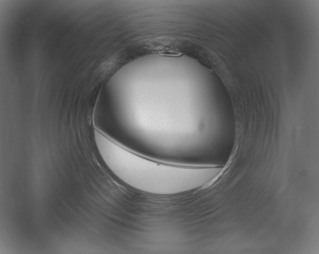 X0000052580192200507010923