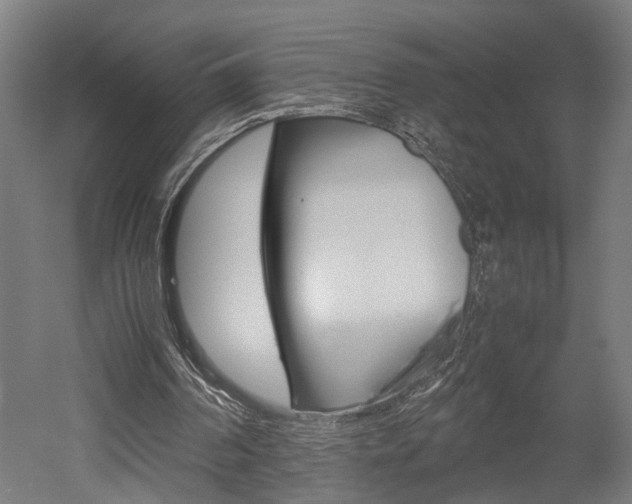 X0000052580194200507010922