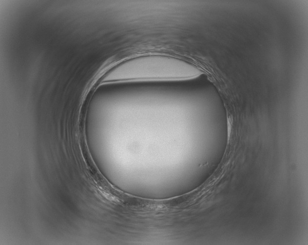X0000052580195200507010922