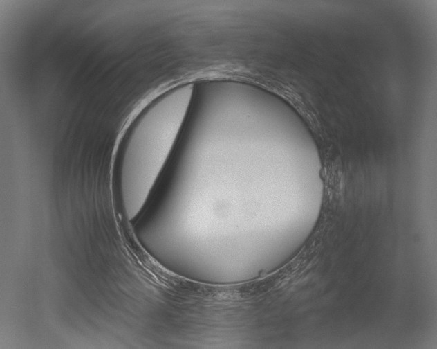 X0000052580196200507010922
