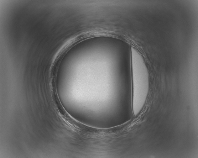 X0000052580197200507010922