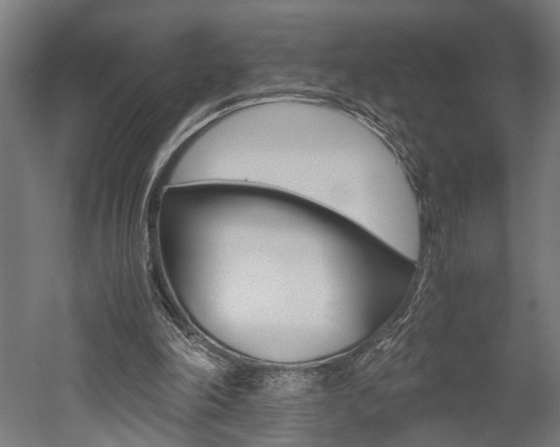X0000052580198200507010922