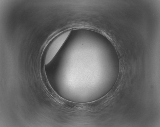 X0000052580199200507010922