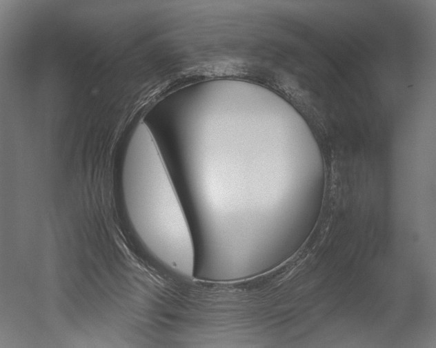 X0000052580202200507010922