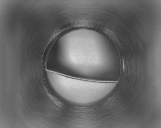 X0000052580204200507010922