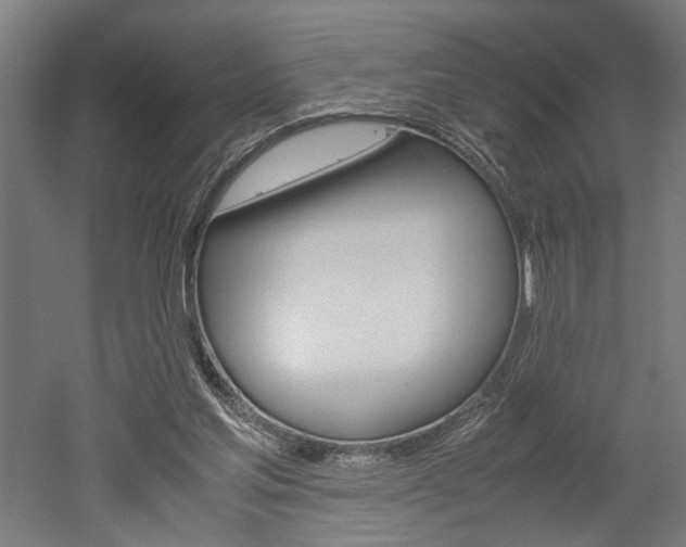 X0000052580205200507010922
