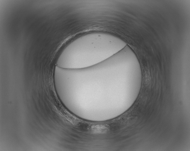 X0000052580208200507010922