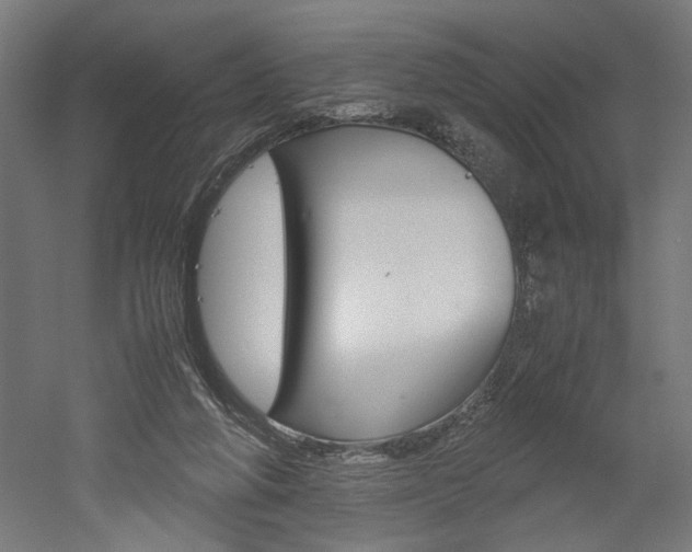 X0000052580210200507010922