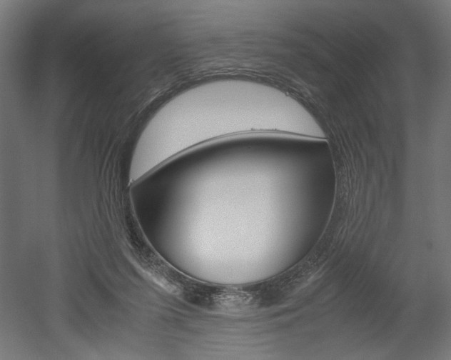 X0000052580215200507010922