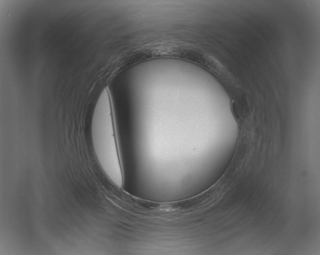 X0000052580217200507010922