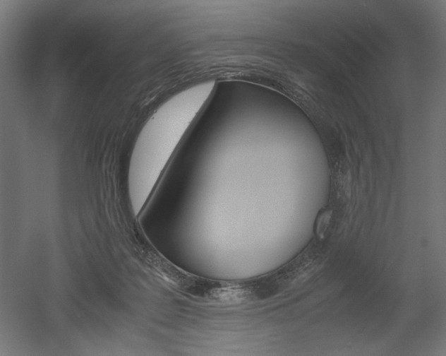 X0000052580219200507010922