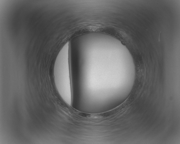 X0000052580221200507010922