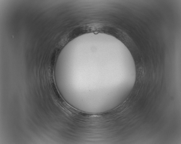 X0000052580222200507010922