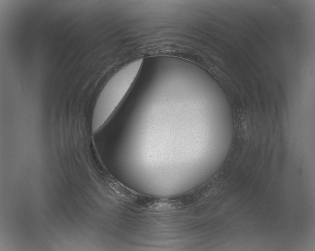 X0000052580224200507010922