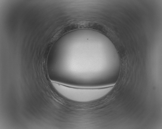 X0000052580225200507010922