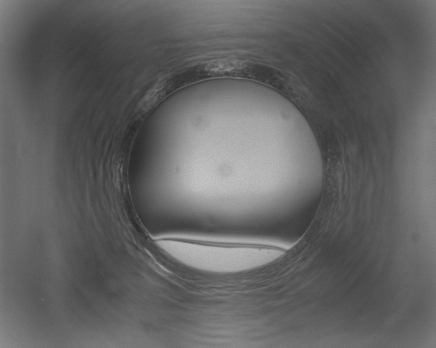 X0000052580227200507010922