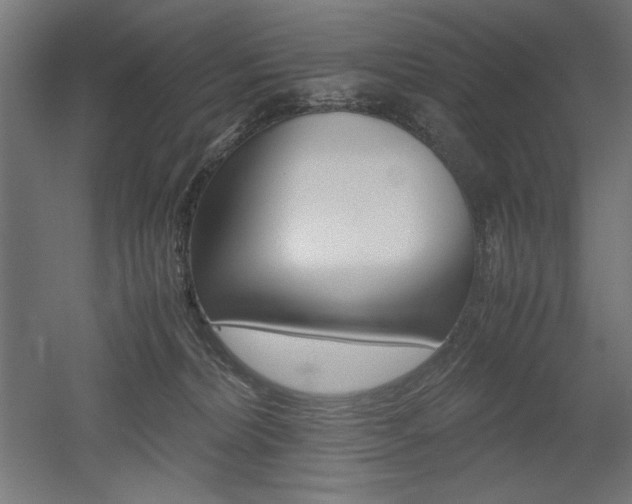 X0000052580228200507010922