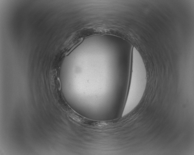 X0000052580229200507010922
