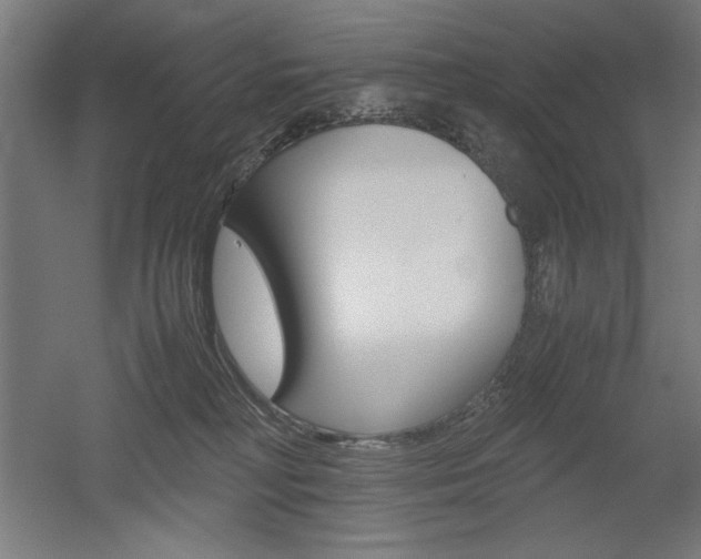 X0000052580230200507010922