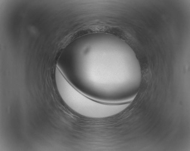 X0000052580233200507010922